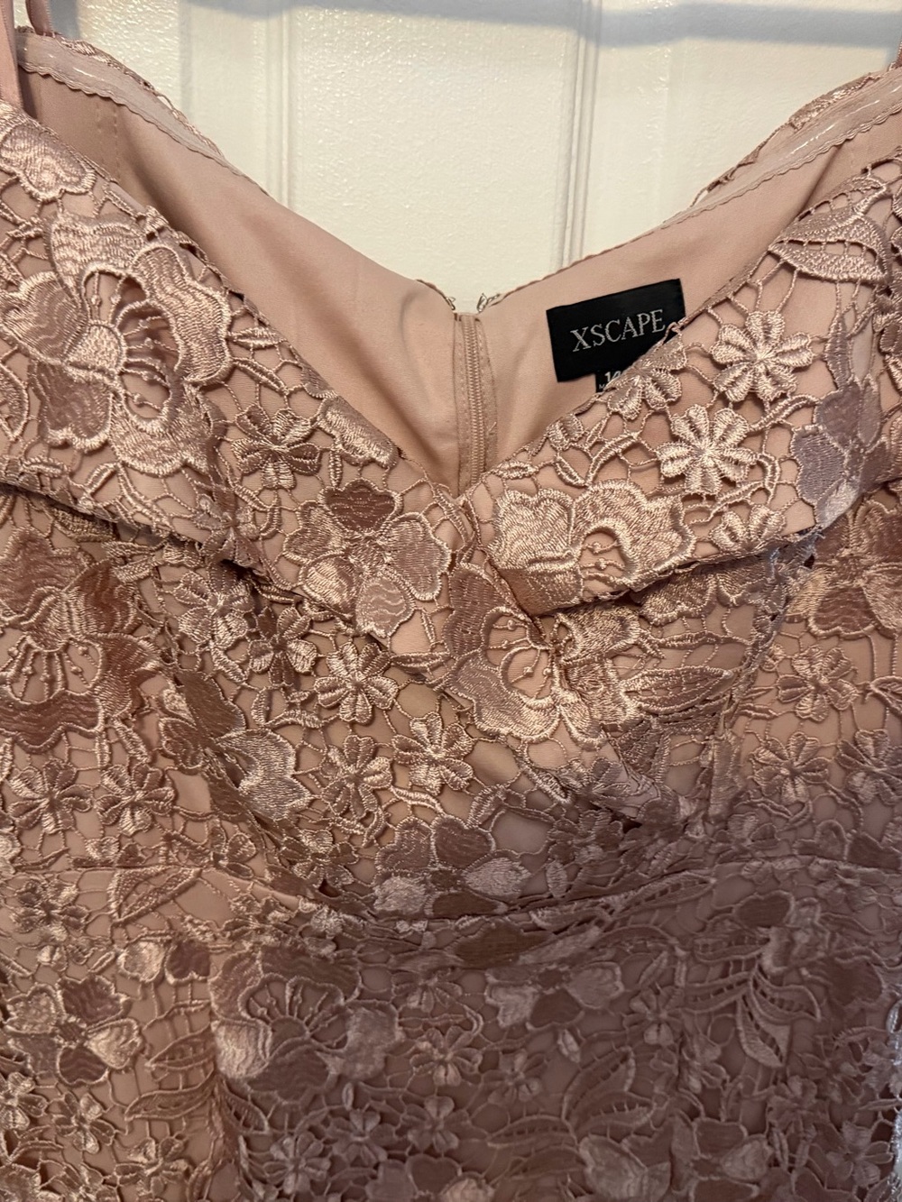 Xscape Blush Pink Floral Lace Gown - Picture 4 of 10